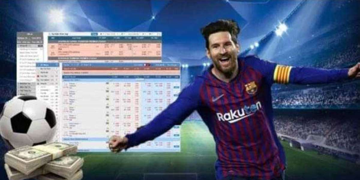 Guide To Choosing a Reliable Online Football Betting Website