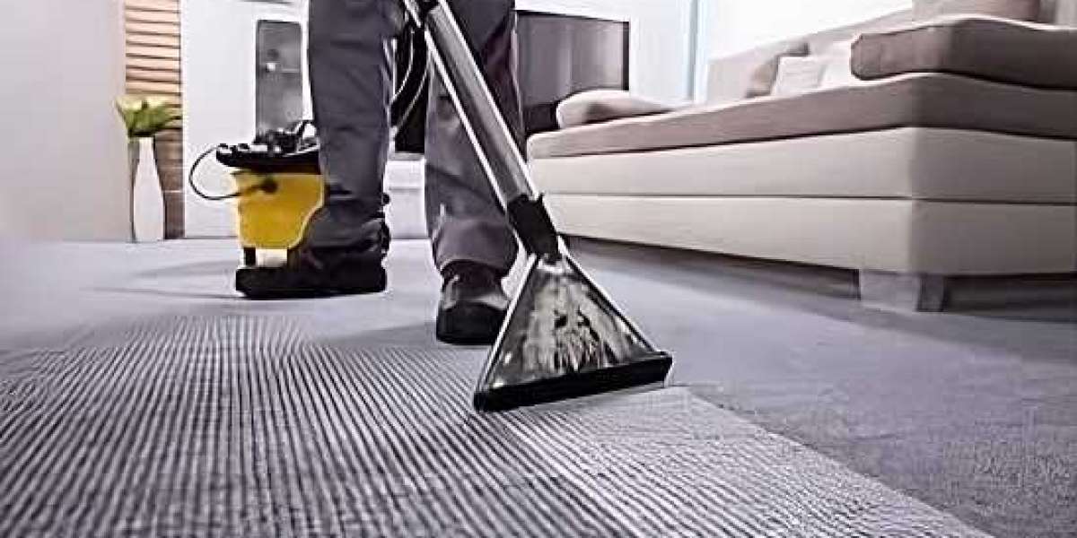 Spotless Sanctuary: Discover the Top Carpet Cleaning Solutions