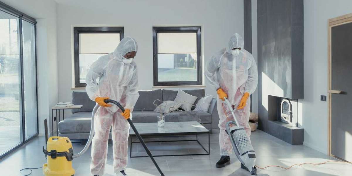 Revitalize Your Home: The Importance of Professional Carpet Cleaning