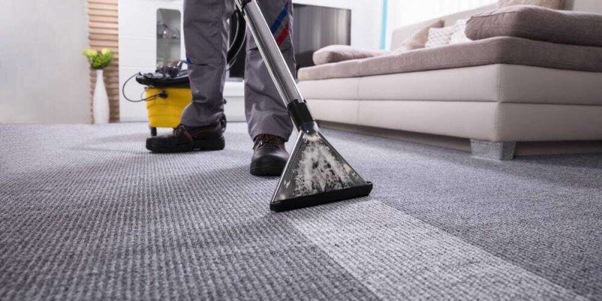 Beyond Stains: The Deep Importance of Regular Carpet Cleaning