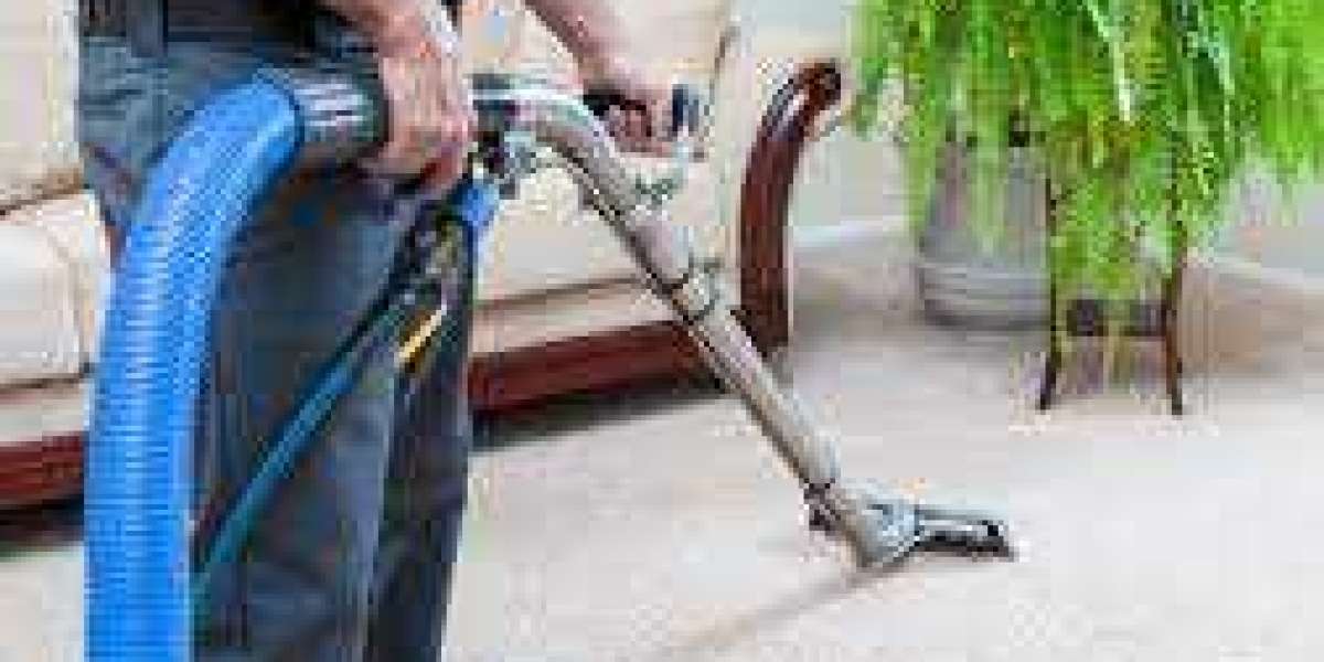 Clearing the Path to Health: Carpet Cleaning for Allergy Sufferers